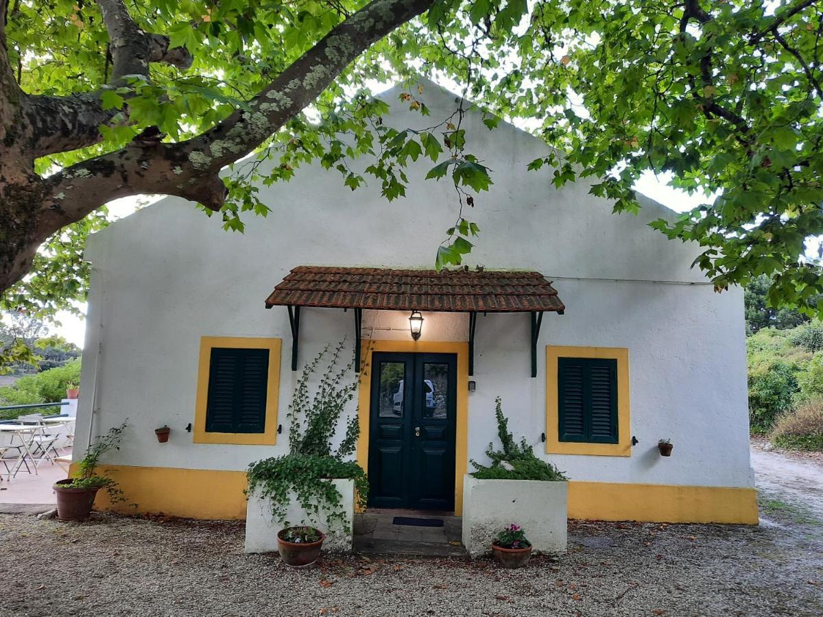 Montejunto Villas - Casa Do Platano Cadaval Exteriör bild