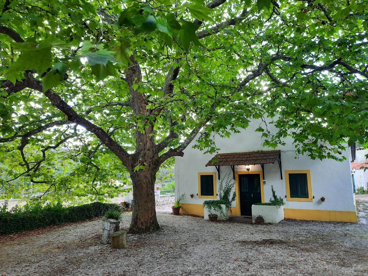 Montejunto Villas - Casa Do Platano Cadaval Exteriör bild