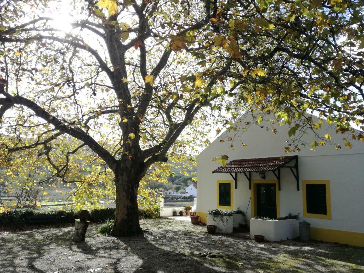 Montejunto Villas - Casa Do Platano Cadaval Exteriör bild