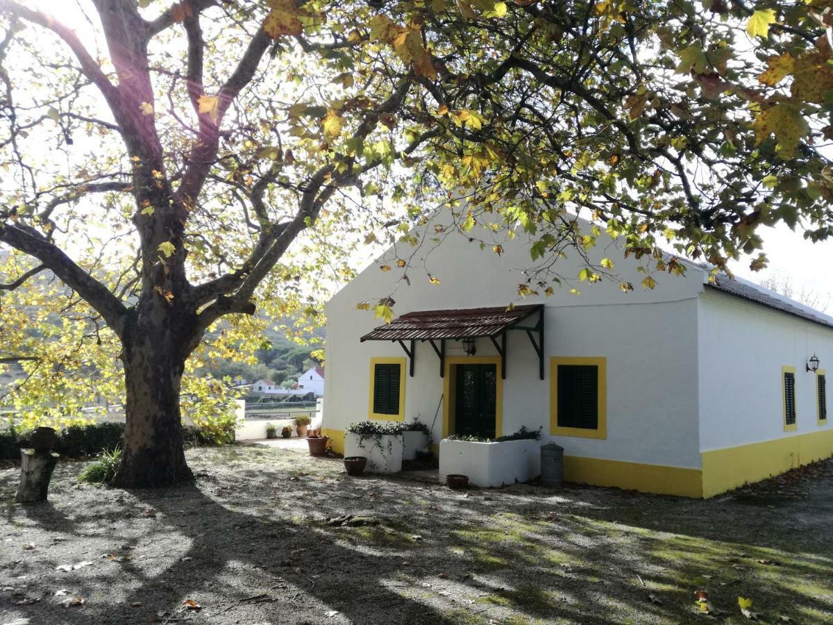 Montejunto Villas - Casa Do Platano Cadaval Exteriör bild