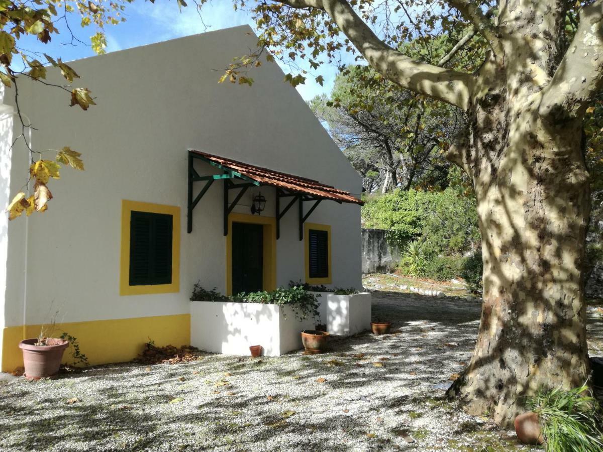 Montejunto Villas - Casa Do Platano Cadaval Exteriör bild