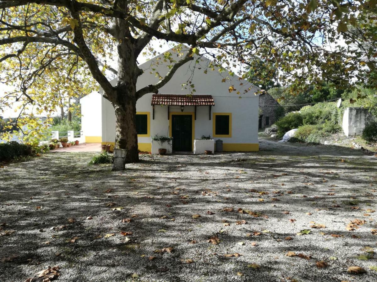 Montejunto Villas - Casa Do Platano Cadaval Exteriör bild
