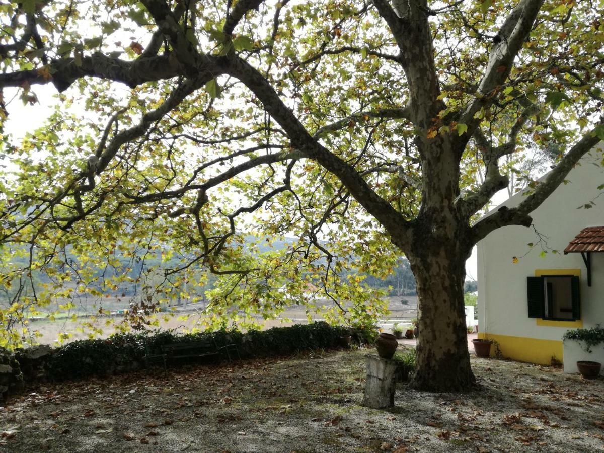 Montejunto Villas - Casa Do Platano Cadaval Exteriör bild